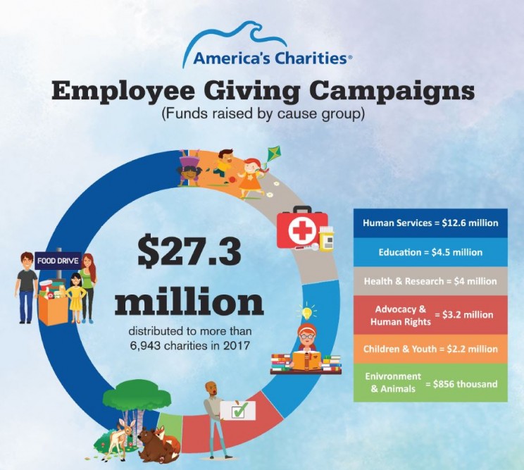 Which Cause Groups America's Charities Raised Funds For in 2017