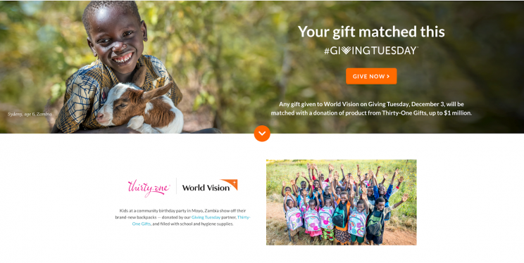 These Giving Tuesday campaign examples showcase the power of digital media