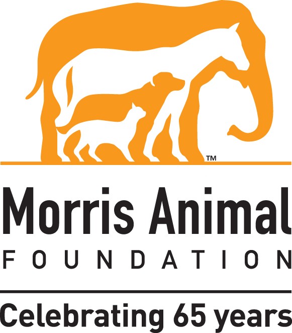 Double Your Impact With Morris Animal Foundation's Season of Hope |  America's Charities