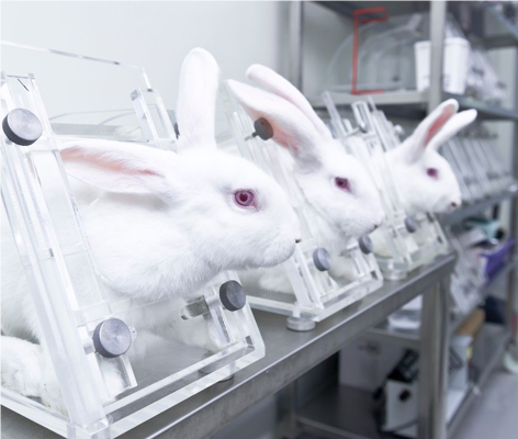 #BeCrueltyFree - Campaign to end cosmetic testing on animals