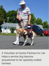 Canine Partners, America's Charities Member
