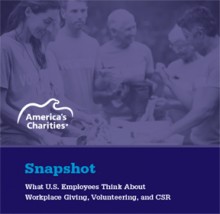 Snapshot 2017: What Employees Think about Workplace Giving, Volunteering, and CSR