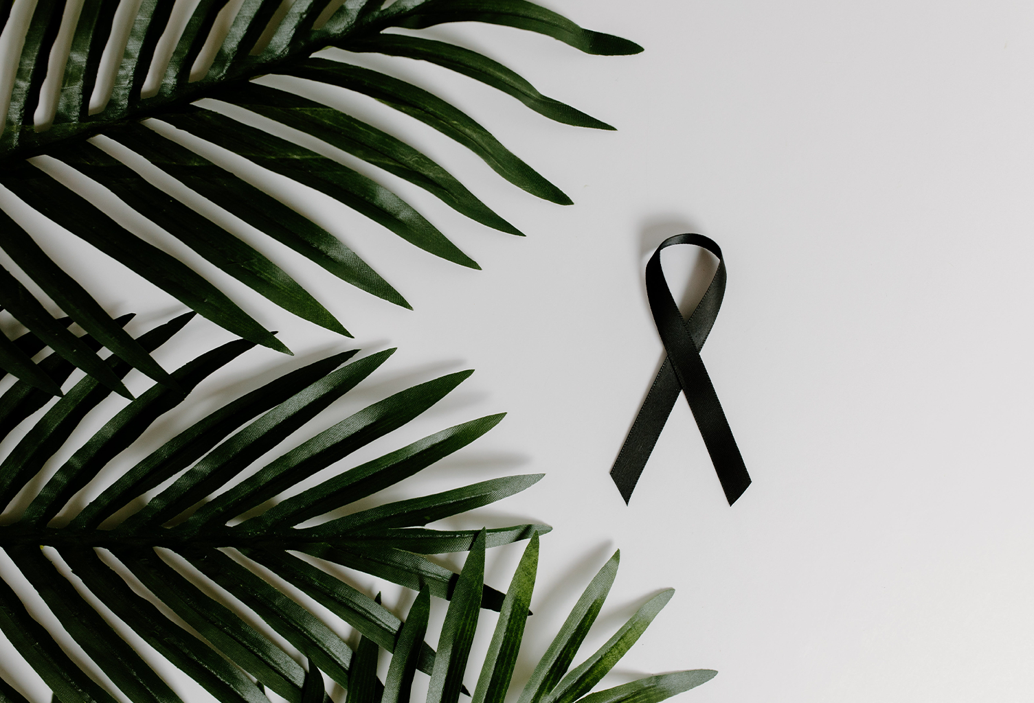 Melanoma Research Alliance America's Charities