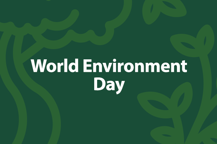 World_Environment_Day_24_Site World_Environment_Day_24_Site