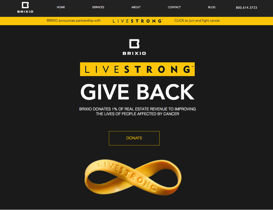 Brixio Livestrong Cause Page
