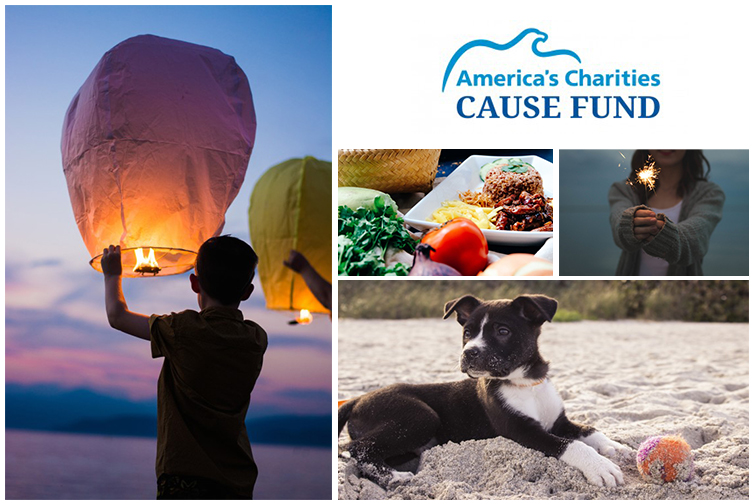cause-funds_web cause-funds_web