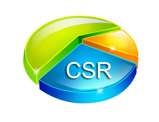 csr-budget csr-budget
