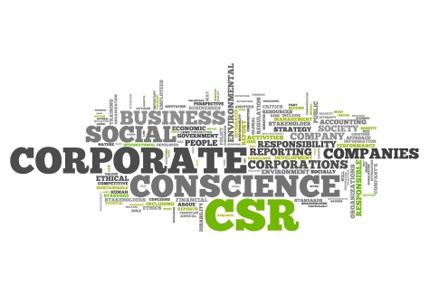 csr_0