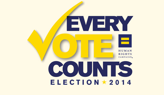 everyvotecounts_banner_yellow_650