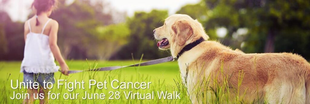 maf-virtualwalk maf-virtualwalk