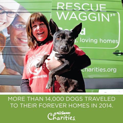 rescue-waggin-petsmart-charities