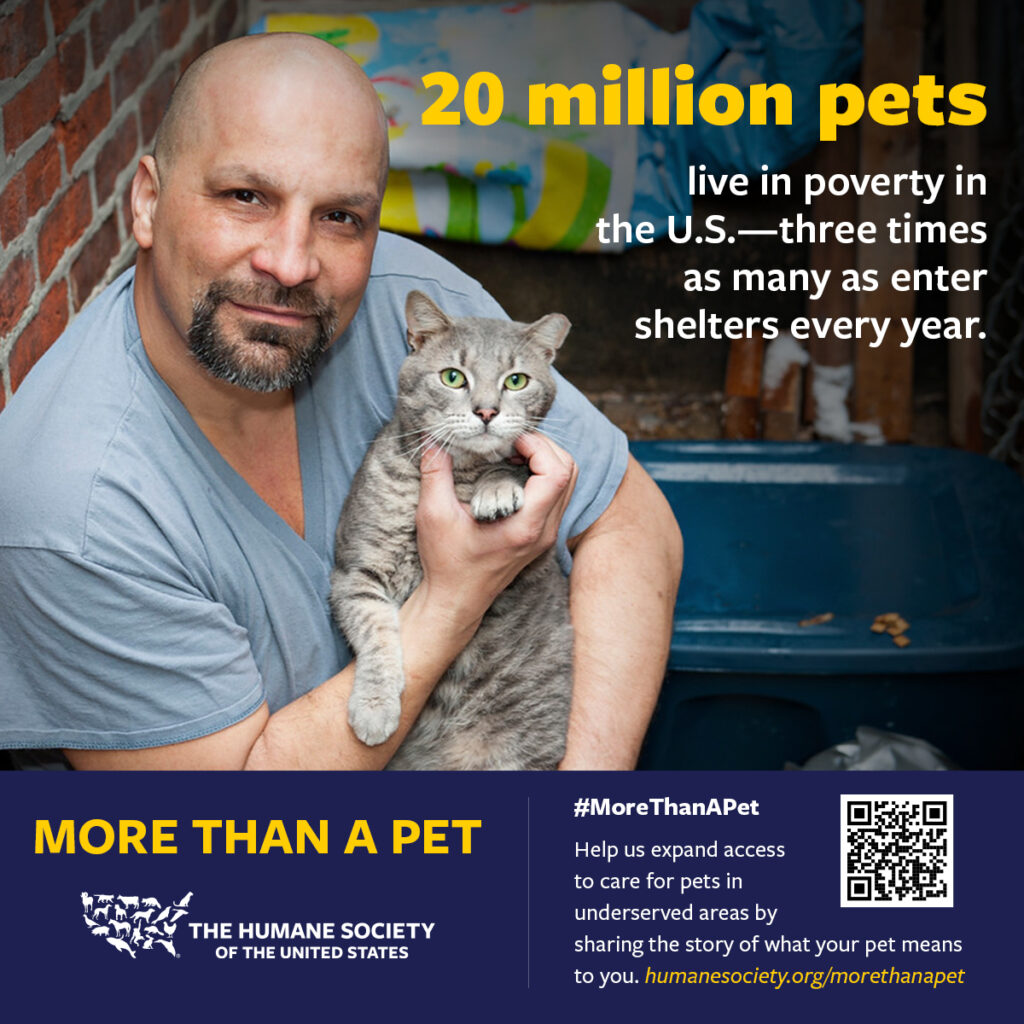 sharegraphic-share-story-MTAP-HSUS sharegraphic-share-story-MTAP-HSUS