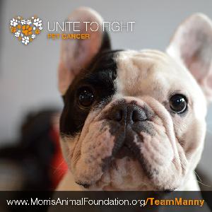 team-manny team-manny