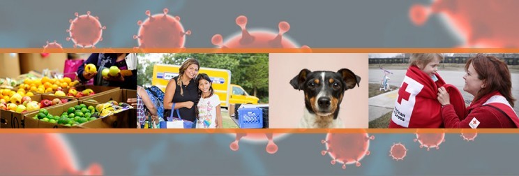 Support America's Charities Nonprofit Members Helping Communities Impacted by Coronavirus